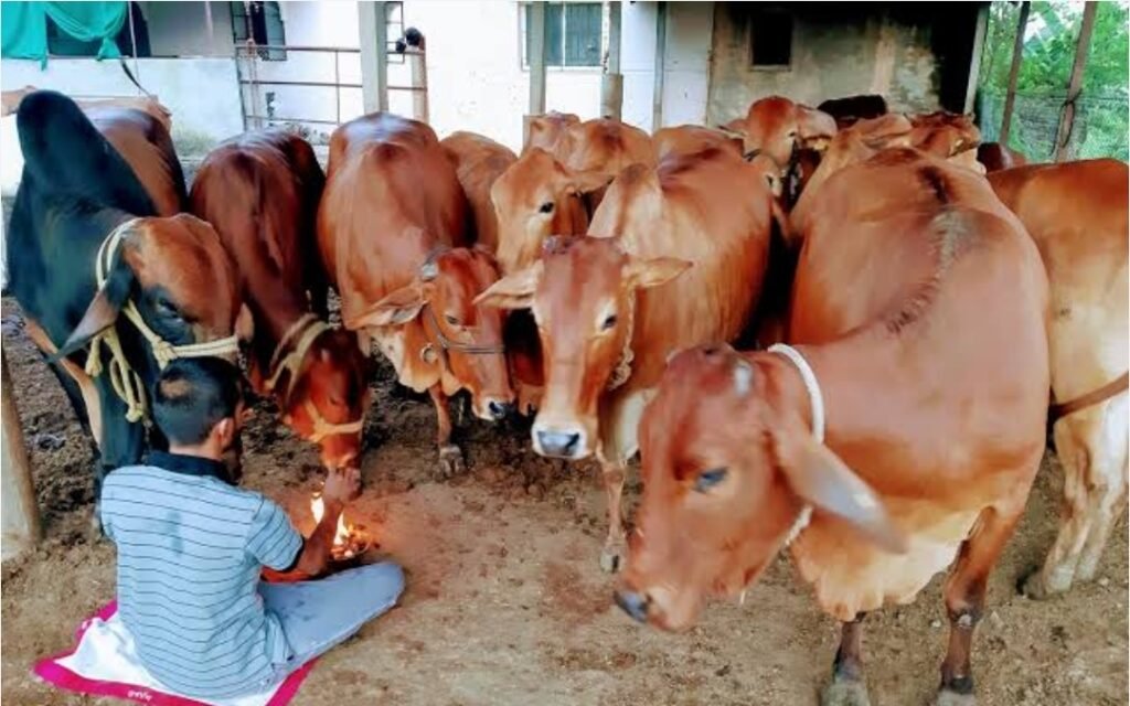 शेतकऱ्याचा सवाल